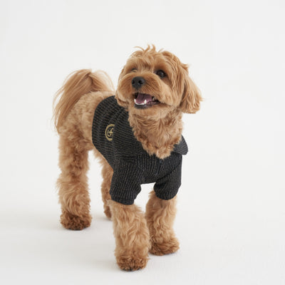 【予約】トゥインクルセーラカラーニット