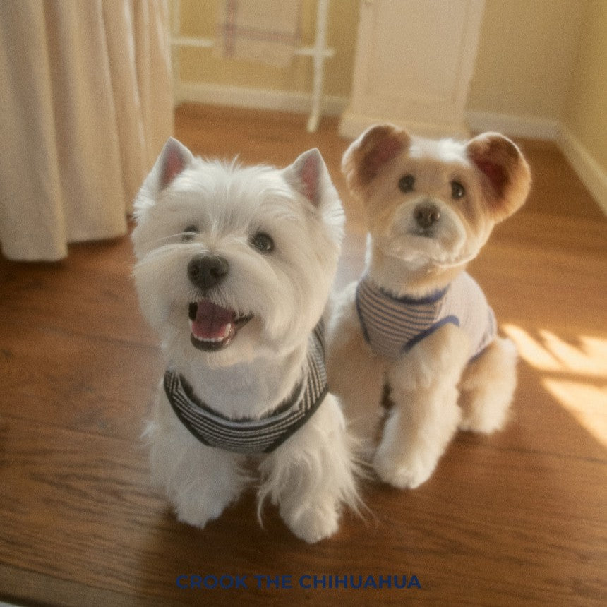 【予約】Union Stripe T-shirt