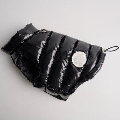 【予約】Wellon Glossy Padding (4color)