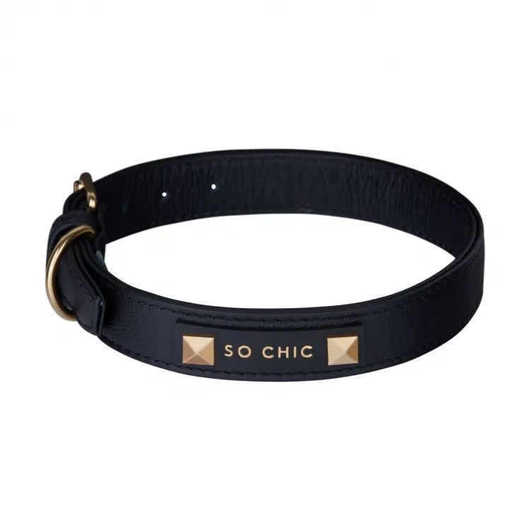 【予約】DOG COLLAR