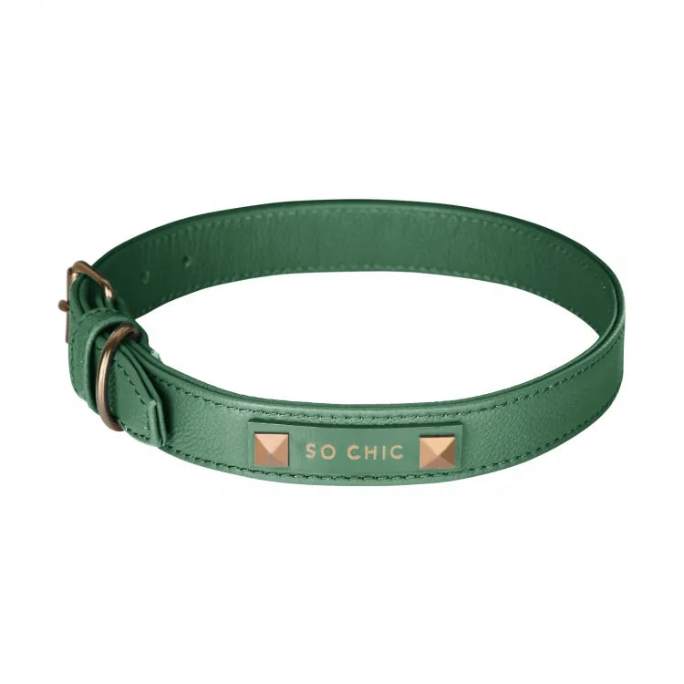 【予約】DOG COLLAR