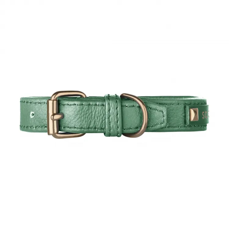 【予約】DOG COLLAR