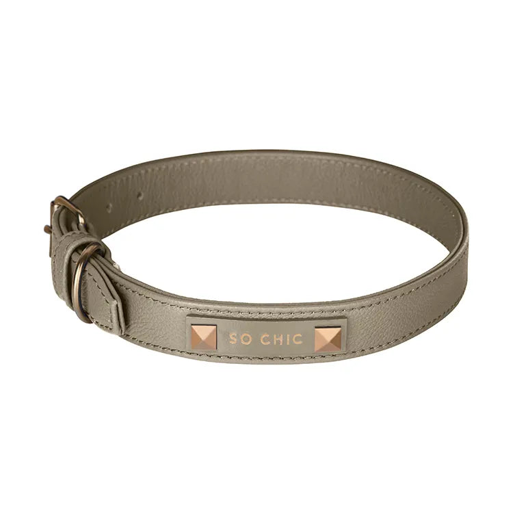 【予約】DOG COLLAR