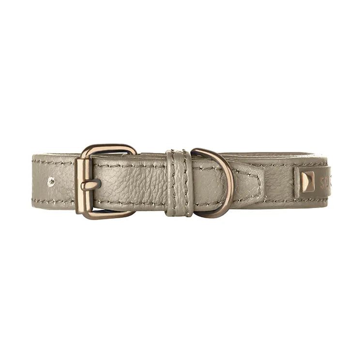 【予約】DOG COLLAR