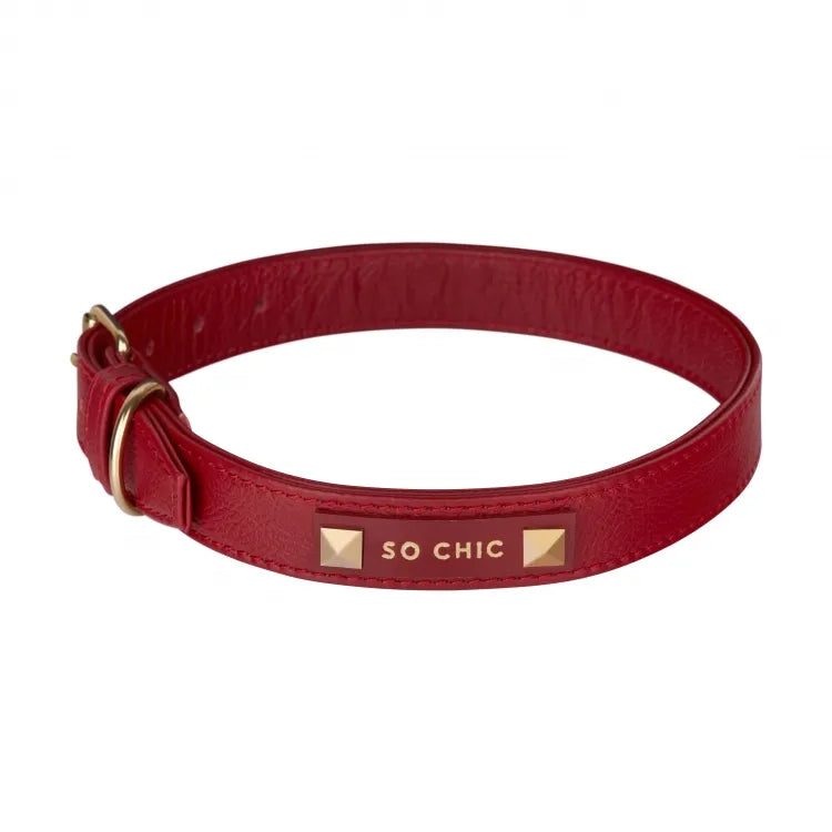 【予約】DOG COLLAR