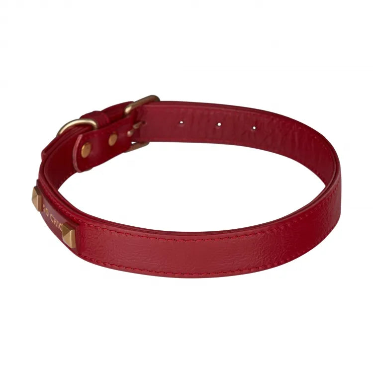 【予約】DOG COLLAR