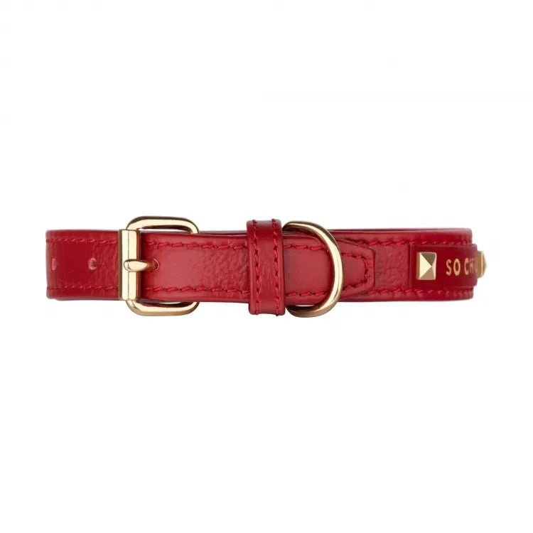 【予約】DOG COLLAR