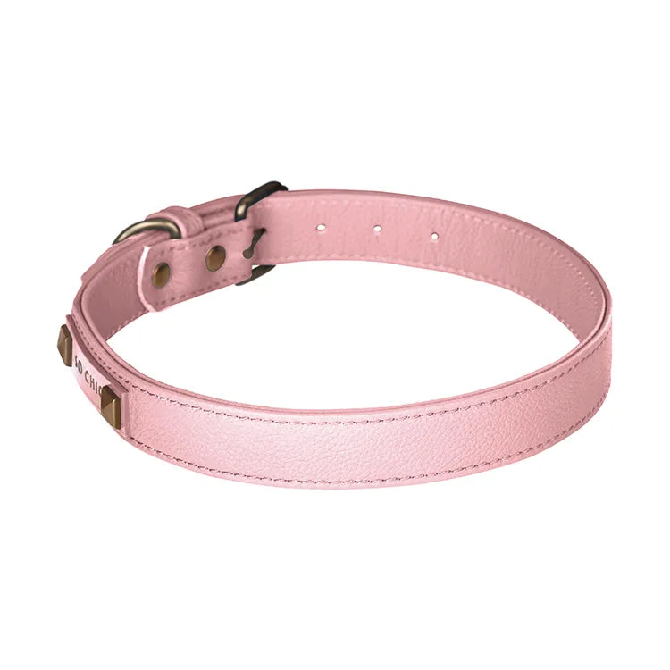 【予約】DOG COLLAR