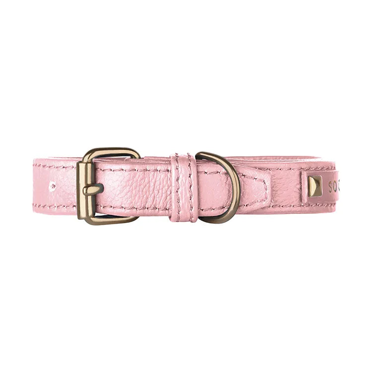 【予約】DOG COLLAR
