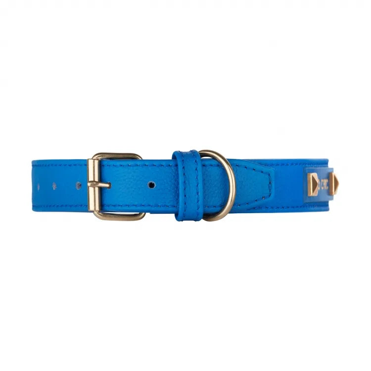 【予約】DOG COLLAR