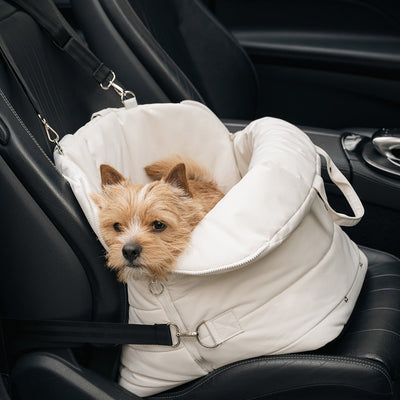 【予約】Air-Shell Car Seat