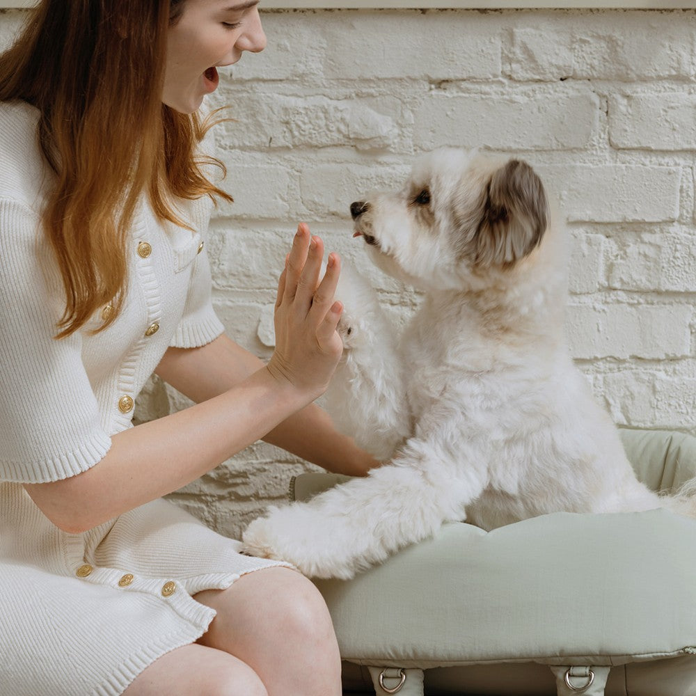 【予約】Pogeun Bag