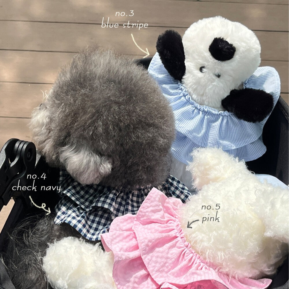 【予約】capeness no.4