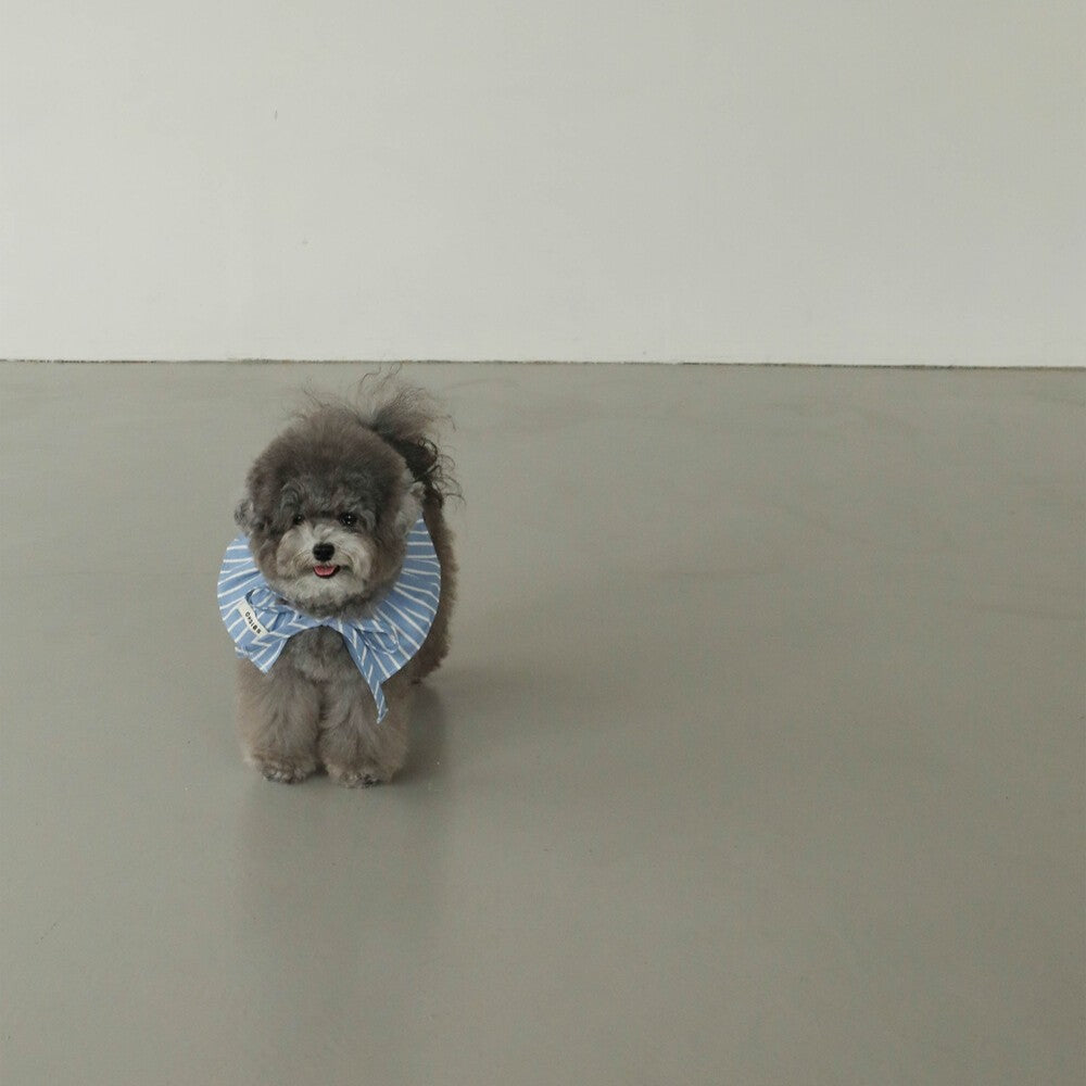 【予約】Denim Cotton Cape