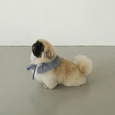 【予約】Denim Cotton Cape