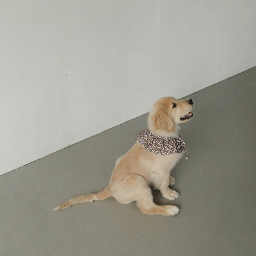 【予約】Denim Cotton Cape