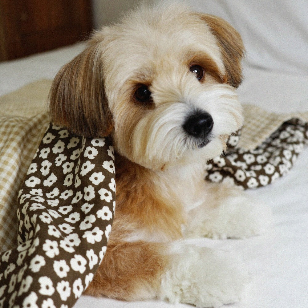 【予約】Grandma Blanket
