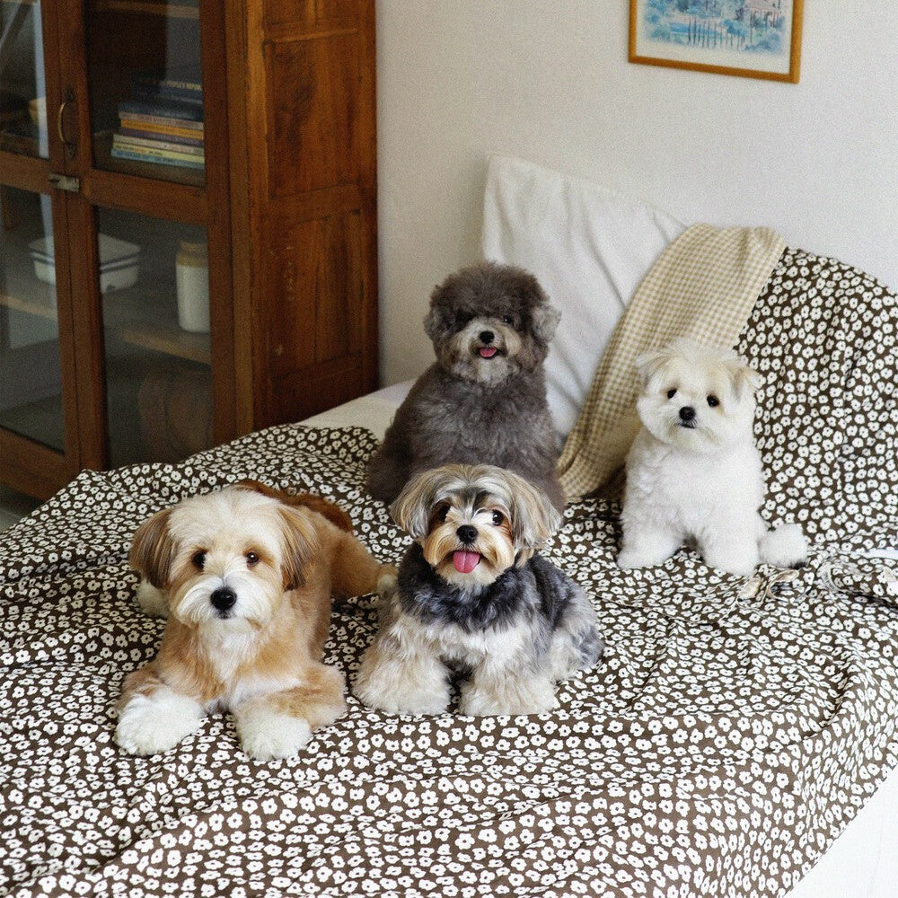 【予約】Grandma Blanket