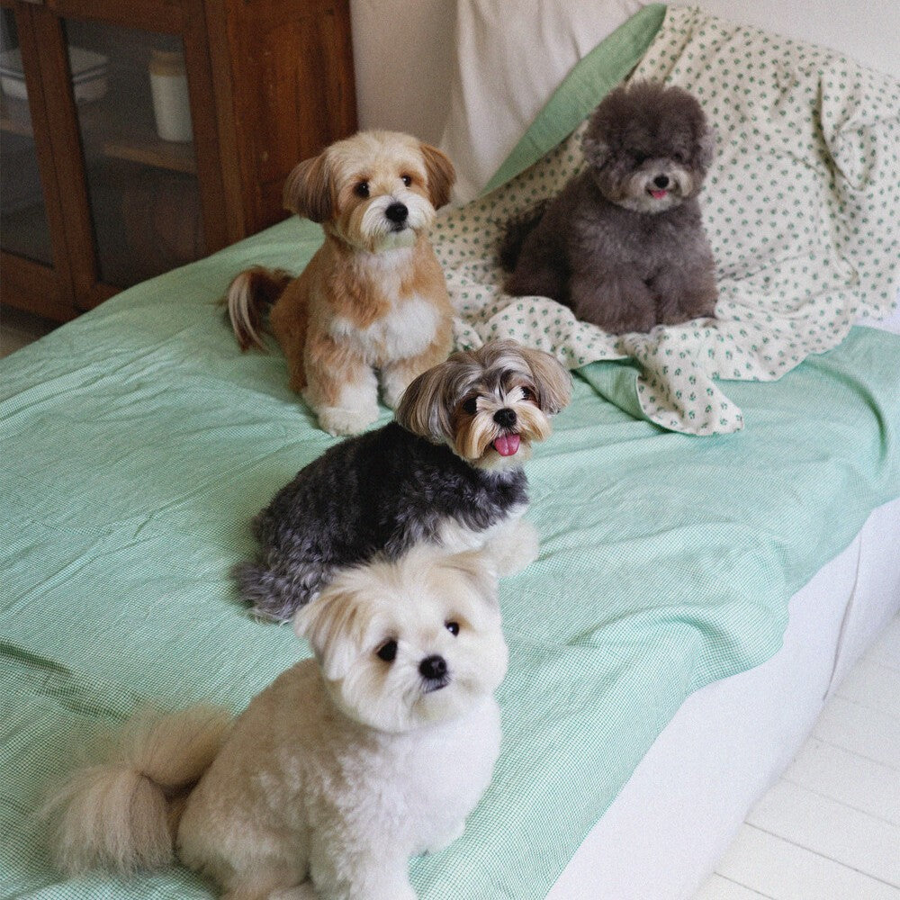 【予約】Grandma Blanket