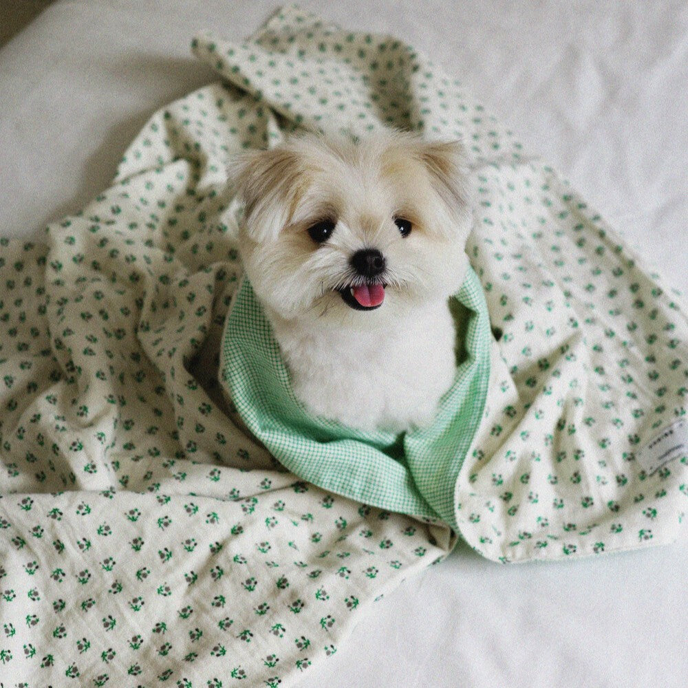 【予約】Grandma Blanket