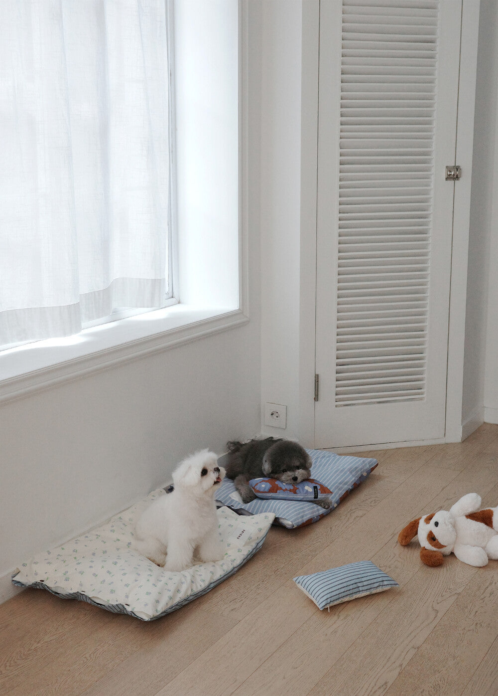【予約】Homey Warmy Topper(※Pillow別売り)