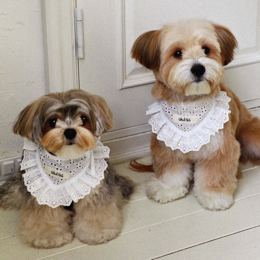 【予約】Manon Kerchief