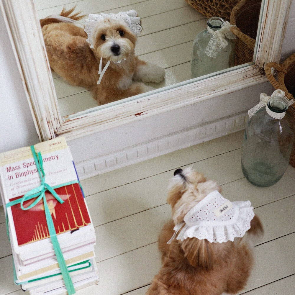 【予約】Manon Kerchief