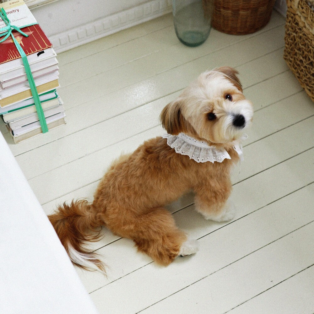 【予約】Manon Kerchief