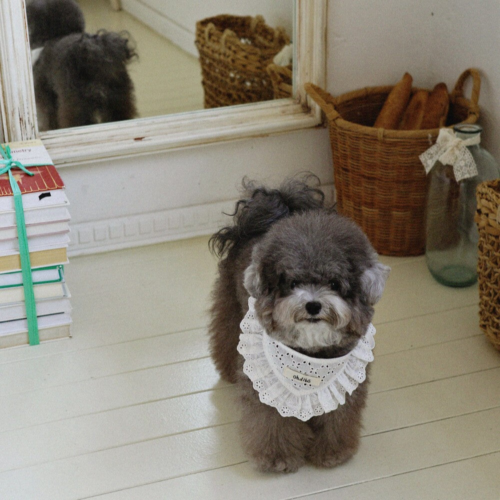 【予約】Manon Kerchief