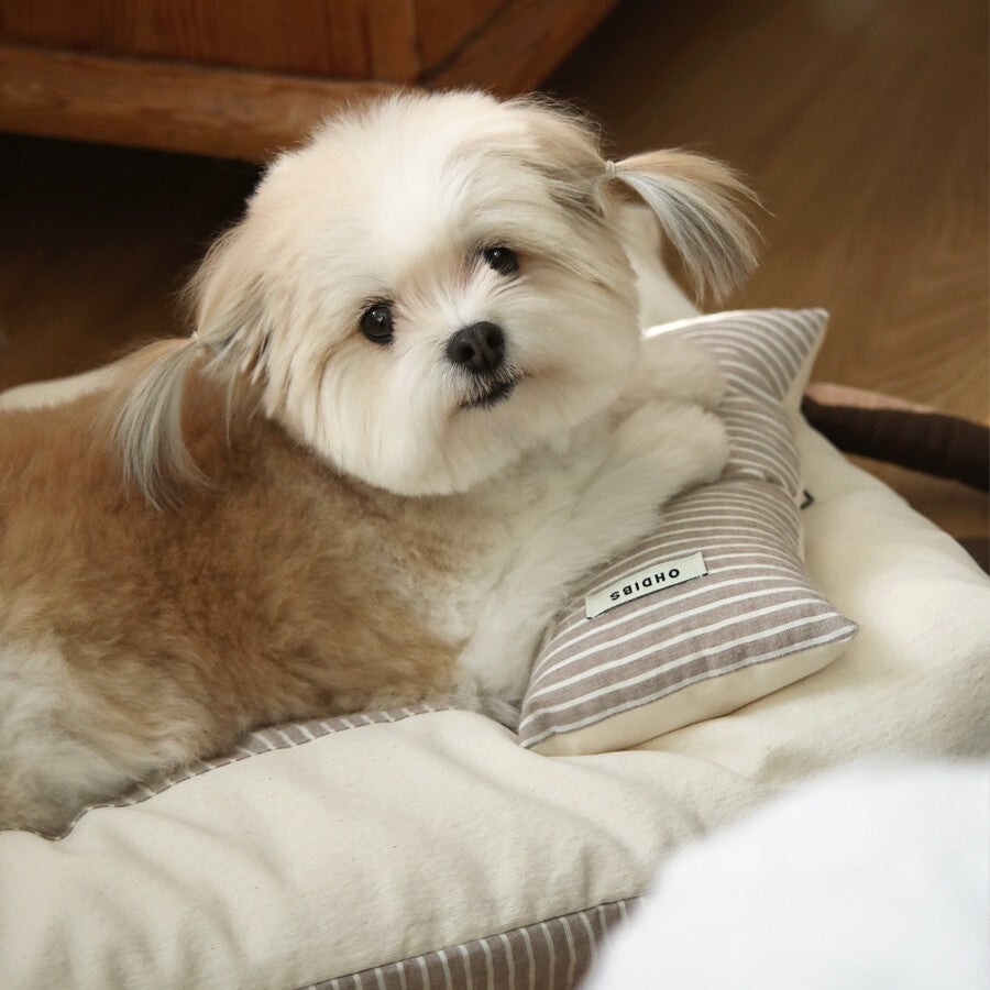 【予約】Mini Square Pillow