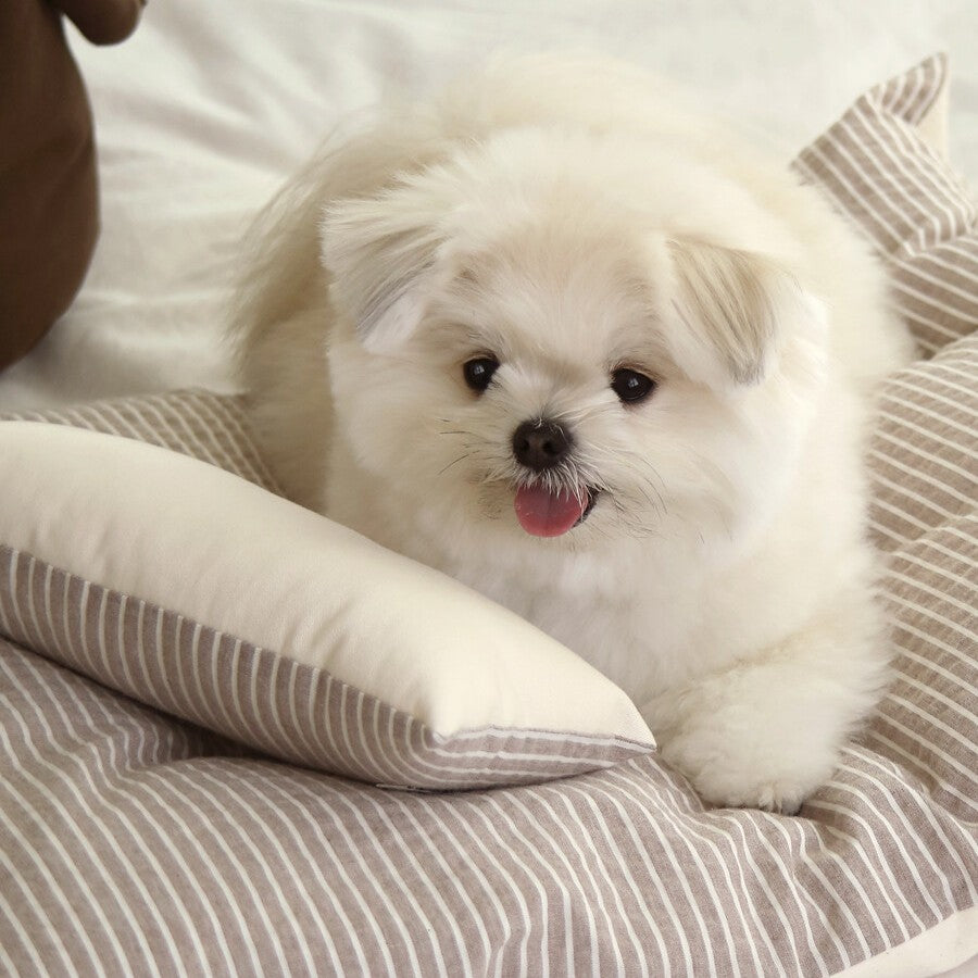 【予約】Mini Square Pillow