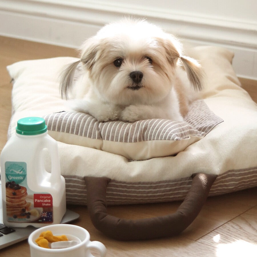 【予約】Mini Square Pillow