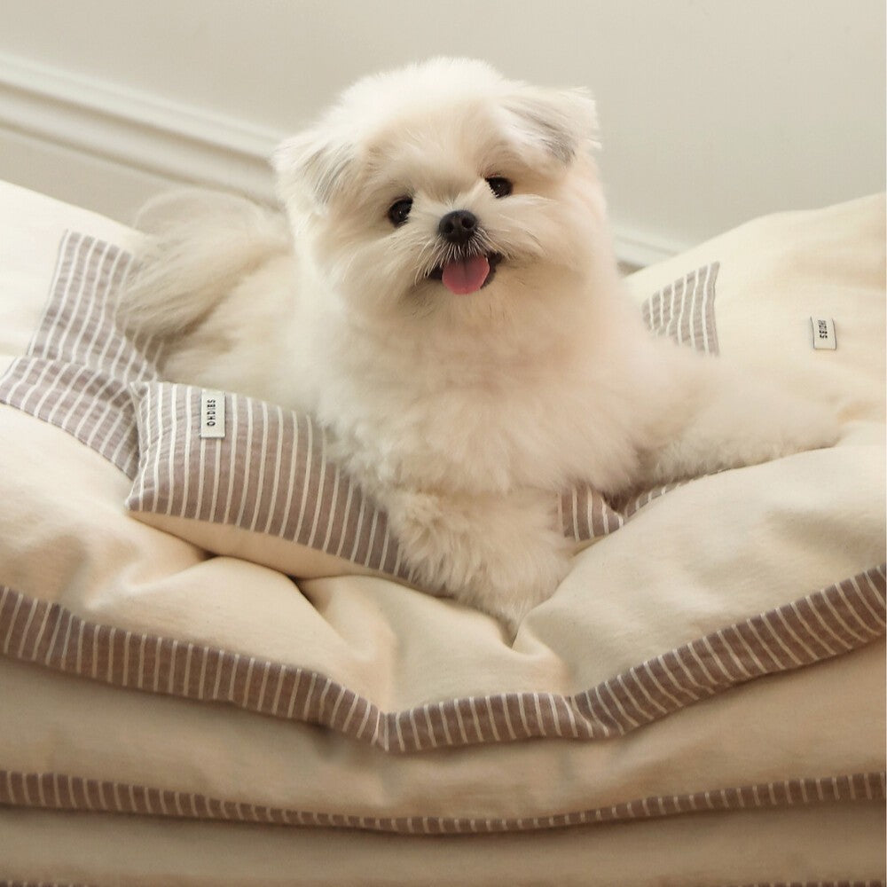 【予約】Mini Square Pillow