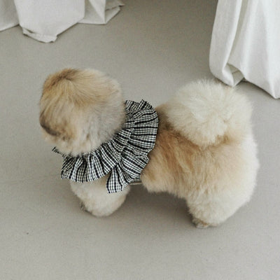 【予約】capeness no.10