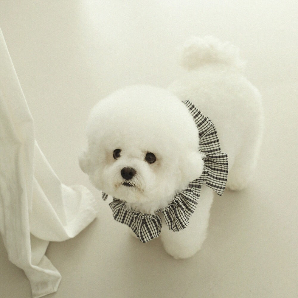 【予約】capeness no.10