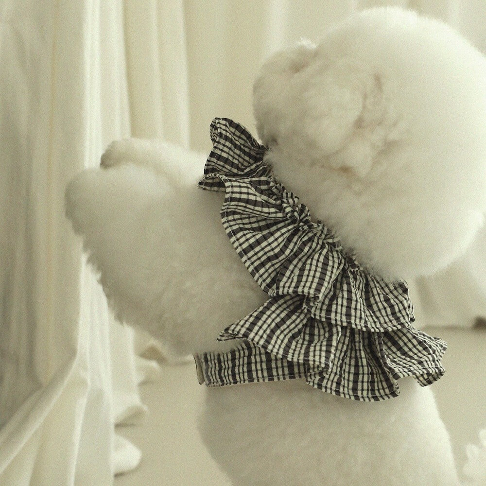 【予約】capeness no.10