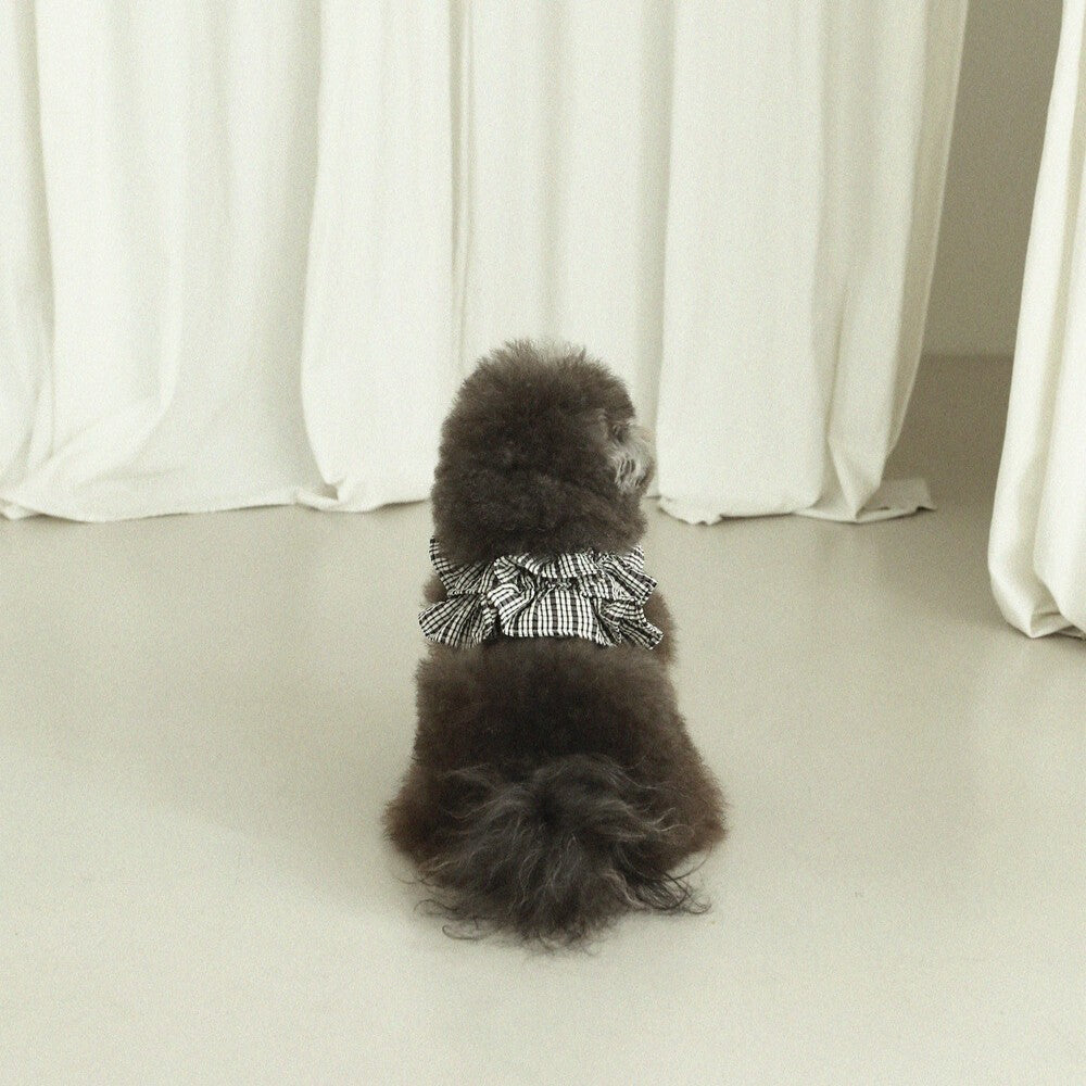 【予約】capeness no.10