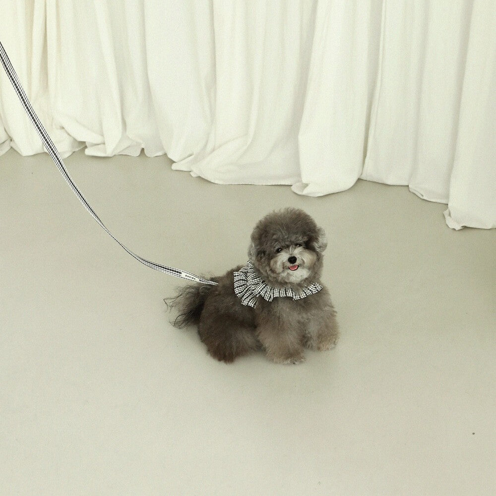 【予約】capeness no.10 leash