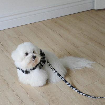 【予約】capeness no.12 leash _ Black check