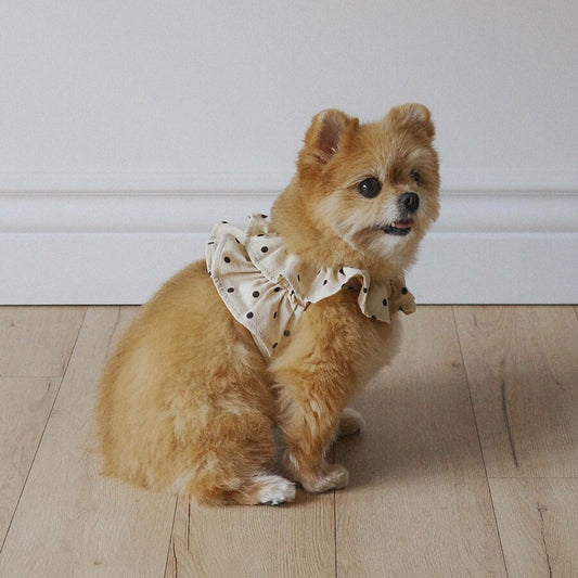 【予約】capeness no.13 _ Cream Dot