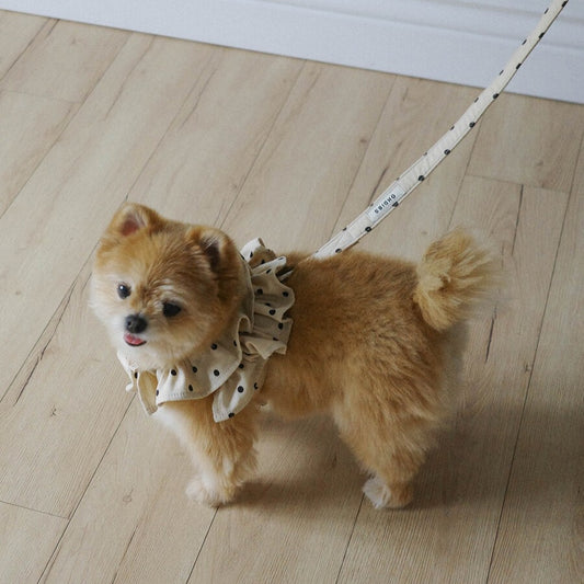 【予約】capeness no.13 leash _ Cream Dot