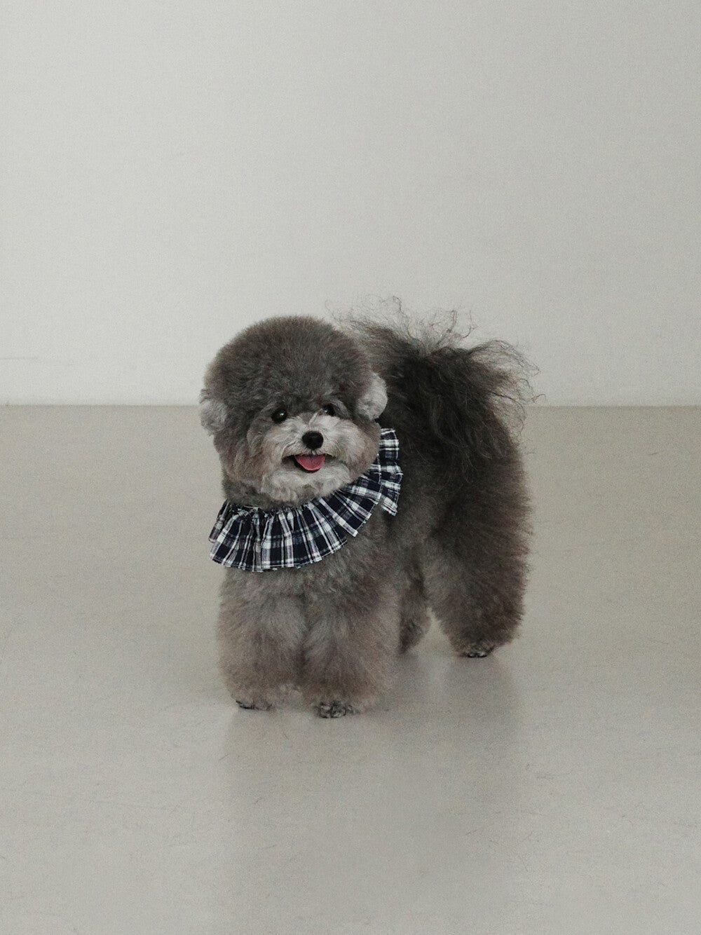 OHDIBS】capeness no.16ケープハーネス (Navy check) | 韓国 犬用
