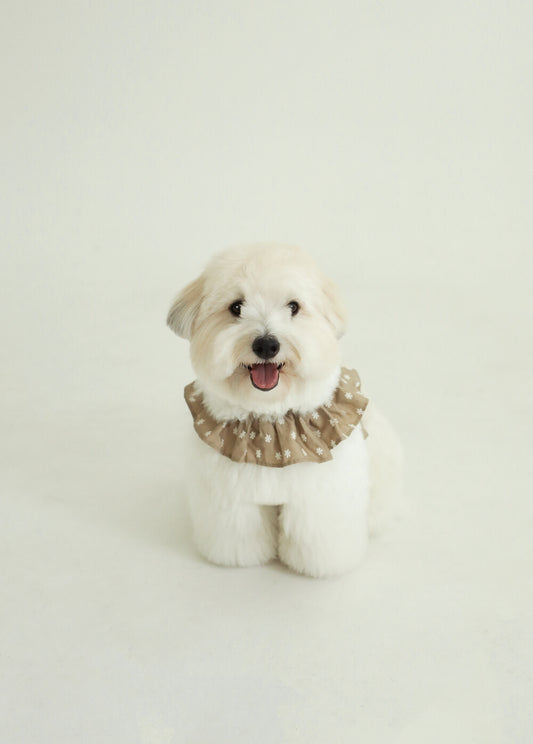 【予約】CAPENESS NO.23 _ Beige