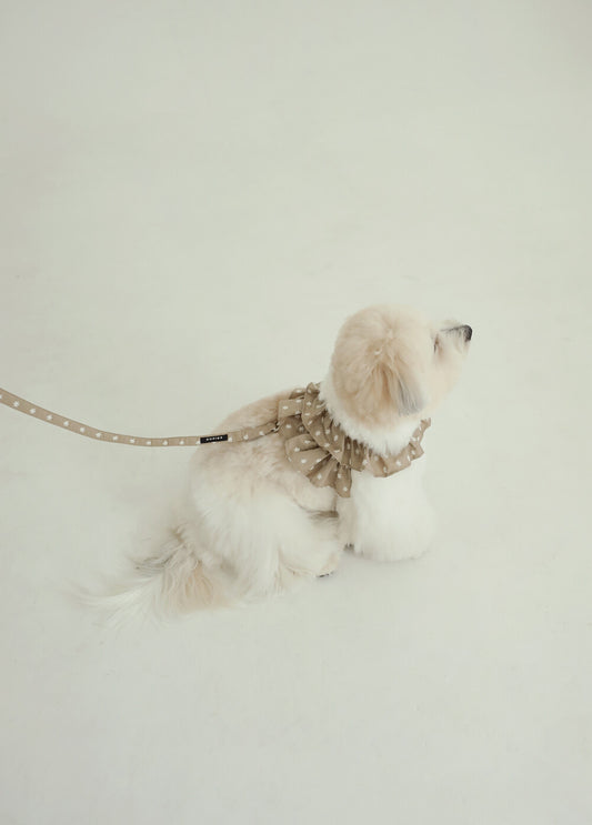 【予約】CAPENESS NO.23 leash _ Beige