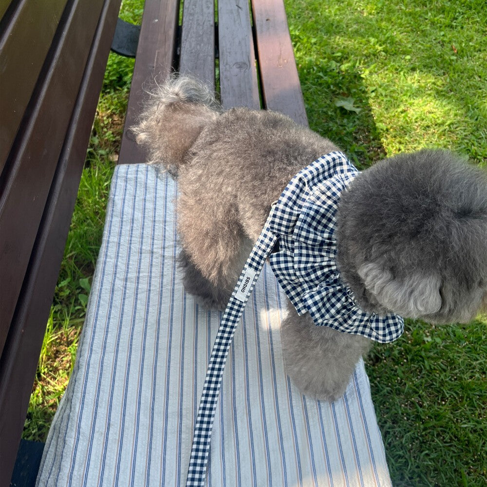 【予約】capeness no.4 leash