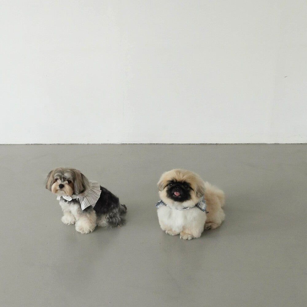 【予約】capeness no.6