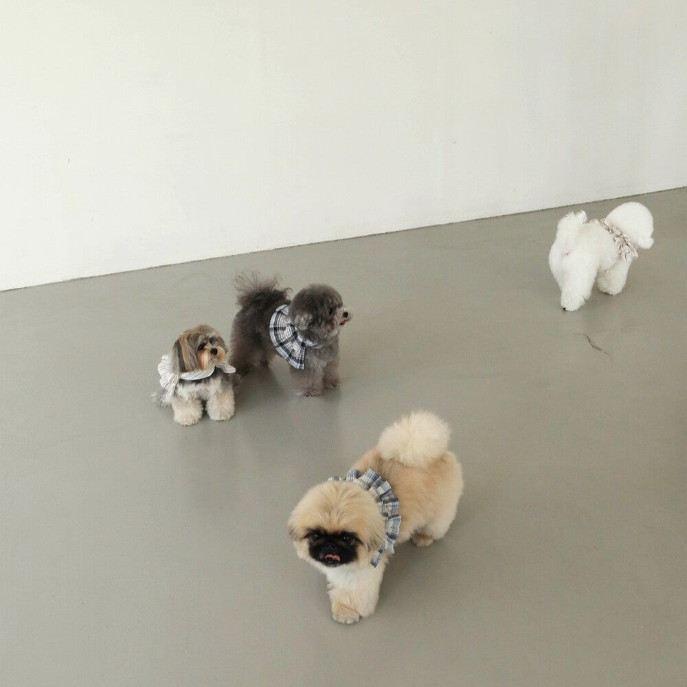 【予約】capeness no.6