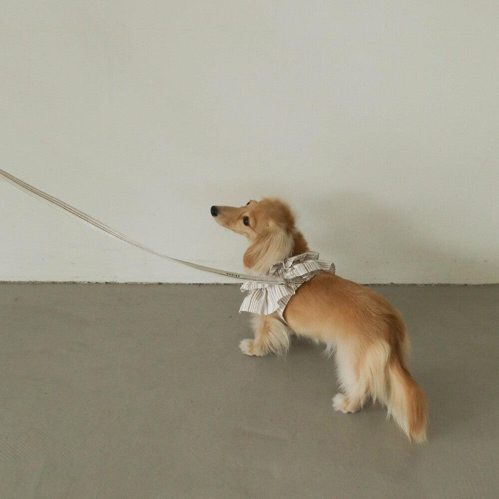 【予約】capeness no.6