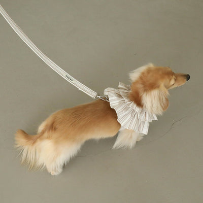 【予約】capeness no.6 leash