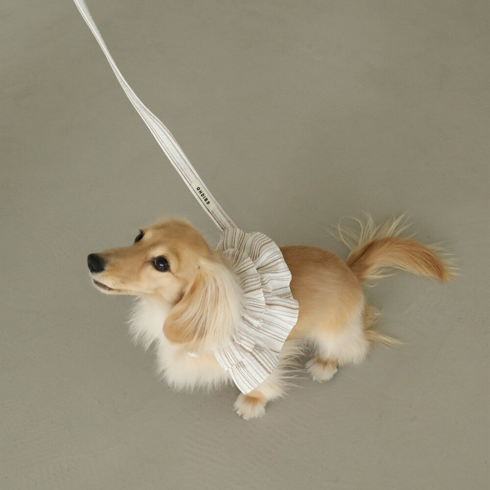 【予約】capeness no.6 leash